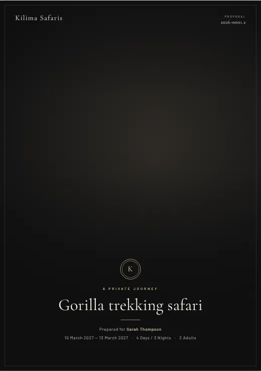 Onyx proposal cover